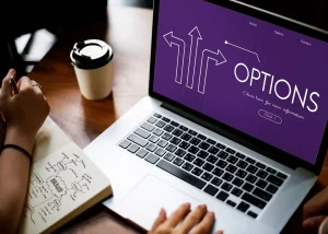 Choix sur les stratégies de la réussite de l'adoption logicielle